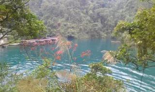 广州到鼎湖山怎么坐车
