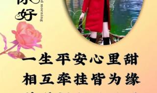 二伏是几月几号2023年