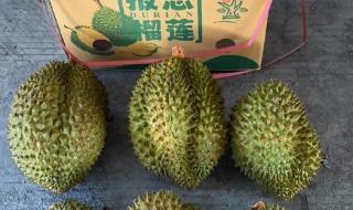 金枕和干尧哪一个好吃