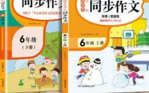 2022春.王朝霞培优100分期中卷作文怎么写 2022广东高考语文作文
