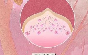 女儿8岁9个月乳房发育正常吗 我乳房发育正常吗如图